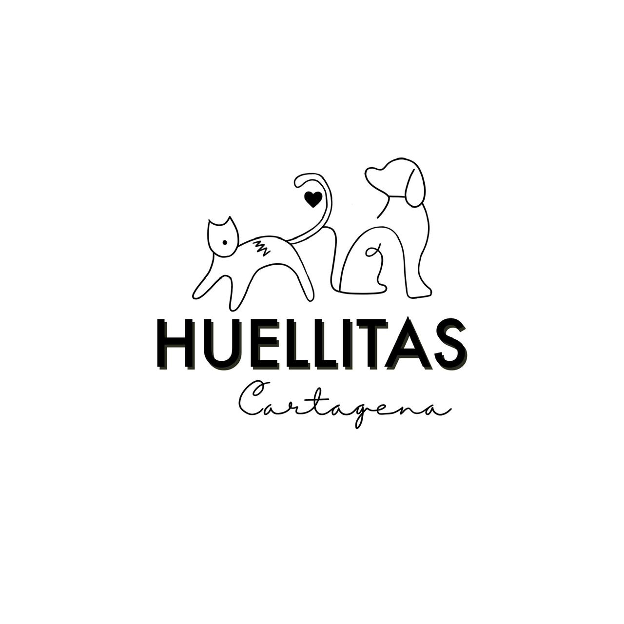 WhatsApp Image 2026-02-11 at 10.38.17 PM