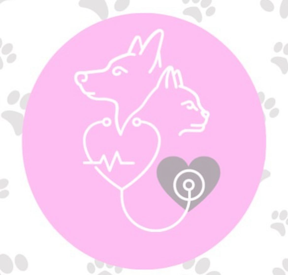 WhatsApp Image 2026-02-11 at 10.45.07 PM